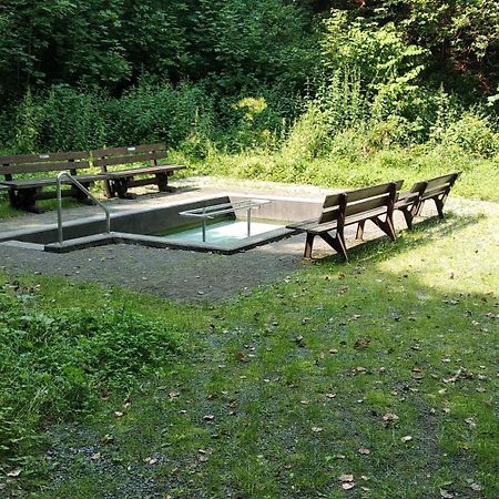 Bergzeit In Langewiese - Appartment Landelijke Star Winterberg Eksteriør billede